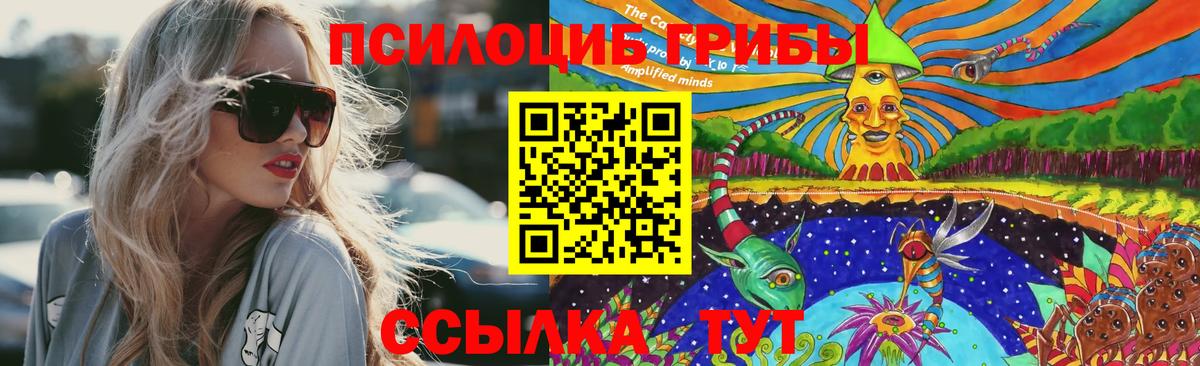 Галлюциногенные грибы мицелий  Вход с VPN  Новоуральск  Псилоцибиновые грибы ЛСД 