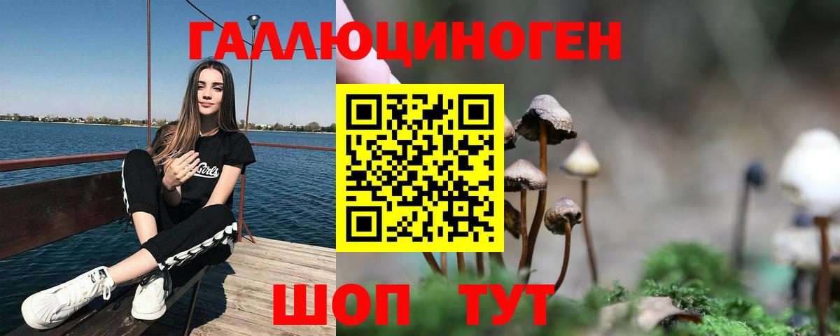 Галлюциногенные грибы Cubensis Новоуральск